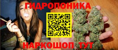 гашик Краснодар