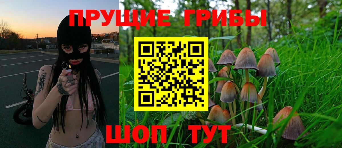Галлюциногенные грибы мухоморы  магазин  наркотиков  Гай  Вход с VPN 